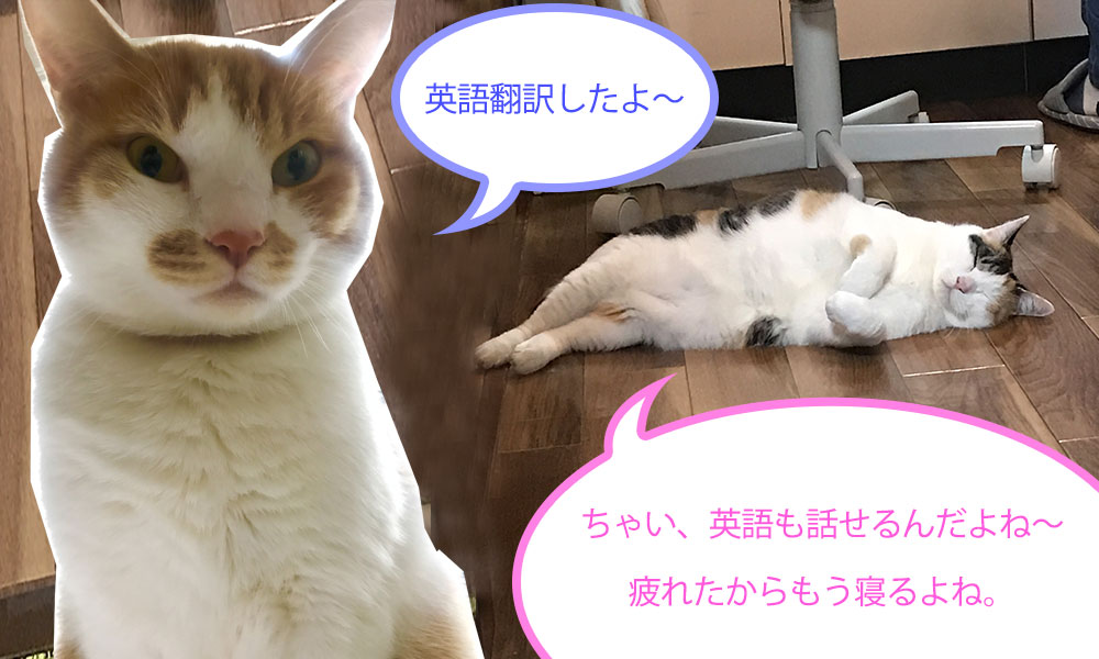 English 英語でしゃべる かりんちゃん ちゃいちゃんの動画 ﾉ Moshinuko